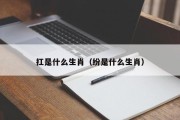 扛是什么生肖（纷是什么生肖）