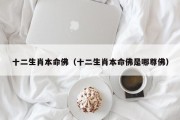 十二生肖本命佛（十二生肖本命佛是哪尊佛）