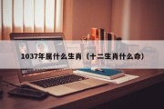 1037年属什么生肖（十二生肖什么命）