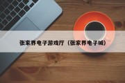 张家界电子游戏厅（张家界电子城）