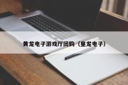 黄龙电子游戏厅团购（皇龙电子）