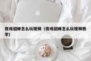 夜戏貂蝉怎么玩视频（夜戏貂蝉怎么玩视频教学）