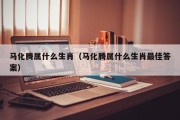 马化腾属什么生肖（马化腾属什么生肖最佳答案）