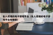 私人搭建的电子游戏平台（私人搭建的电子游戏平台有哪些）