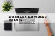 1965属什么生肖（1967年1月22日属什么生肖）