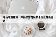 寻仙手游花钱（寻仙手游花钱那个仙位等级图片）