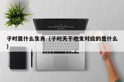 子时属什么生肖（子时天干地支对应的是什么）