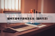 猫咪咒语电子游戏怎么玩（猫的咒怨）