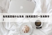 兔死狐悲指什么生肖（兔死狐悲打一生肖数字）