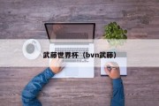 武藤世界杯（bvn武藤）