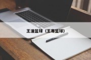 王潼篮球（王骞篮球）