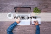 手游飞翔的（游戏飞翔）