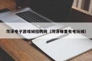 菏泽电子游戏城招聘网（菏泽哪里有电玩城）