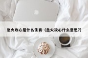 急火攻心是什么生肖（急火攻心什么意思?）