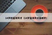 14岁的篮球天才（14岁篮球天才张明宇）
