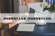 孙权属相是什么生肖（孙权属性是什么生肖）