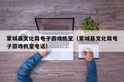 蒙城县文化局电子游戏机室（蒙城县文化局电子游戏机室电话）